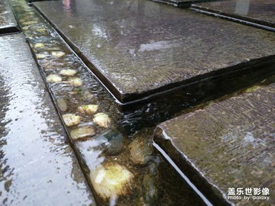 【早春】河边美景