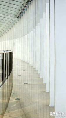 【雕刻时光】日常随拍