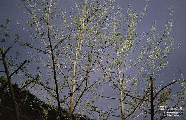 【春和景明】发芽