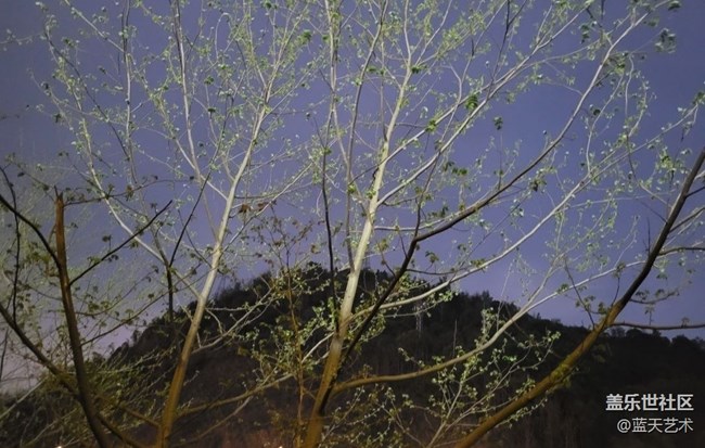 【春和景明】发芽