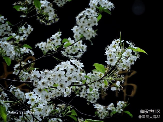 【春暖花开】+春天花卷