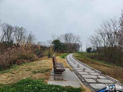 青龙湖湿地公园