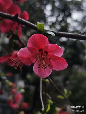 春天来了