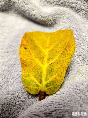 有意思的生活