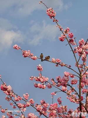 小点滴