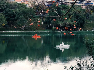 一朝春雨过，万物皆清明