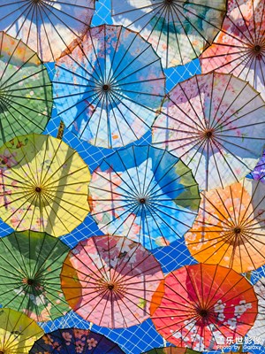 【三月芳菲】天空之伞