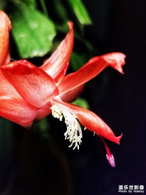 【三月芳菲】+春暖花开