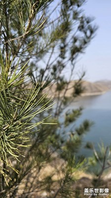 【三月芳菲】+山间春景