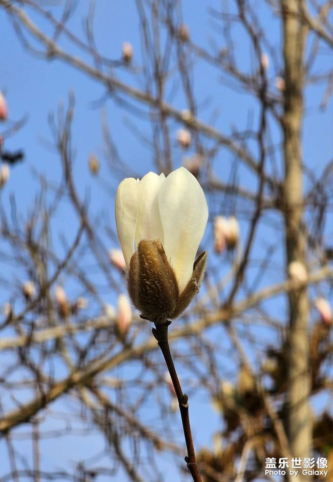 精品大咖秀 第三十五期：二月春分