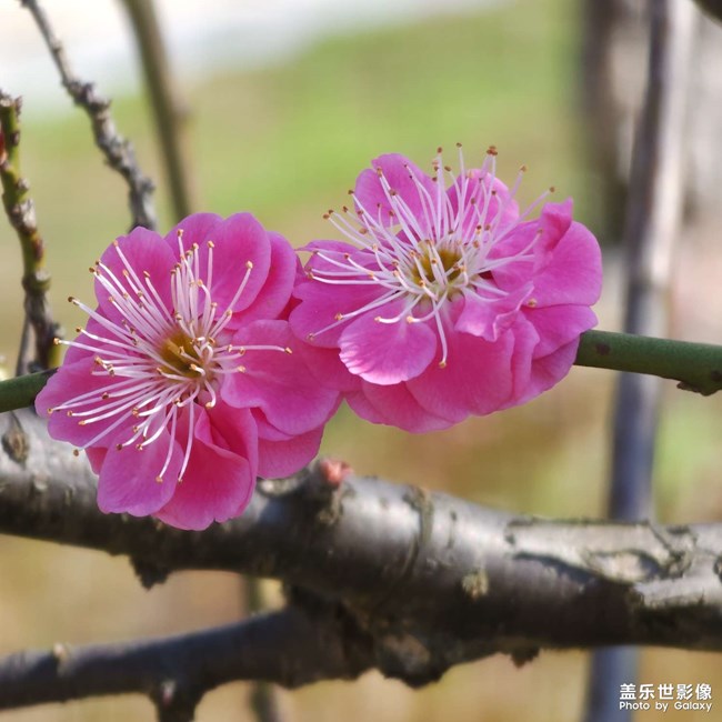 精品大咖秀 第三十五期：二月春分