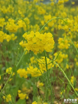 春雨中的世界