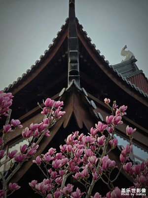 夕阳下的无锡泗洲寺