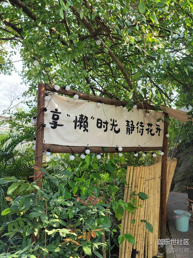 【厦门星部落】【春】春的颜色