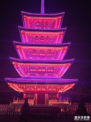 【眼界视界】+ 赏樱花