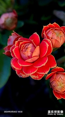 春暖花开