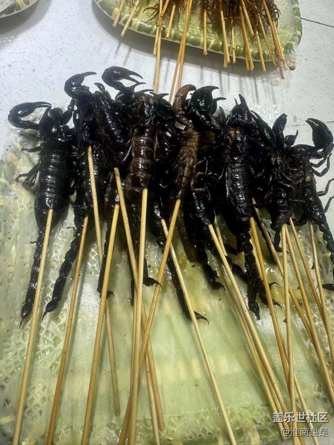 【食鲜】烤虫串