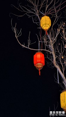 东风夜放花千树。更吹落，星如雨。