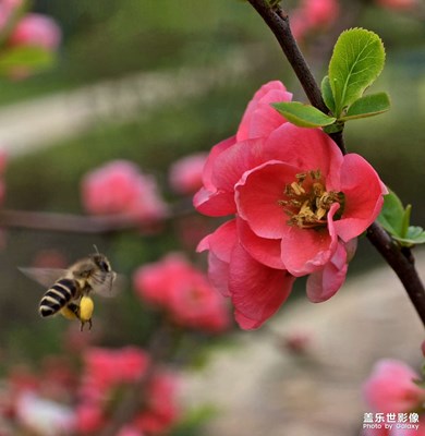 【眼界视界】+无锡太湖植物园