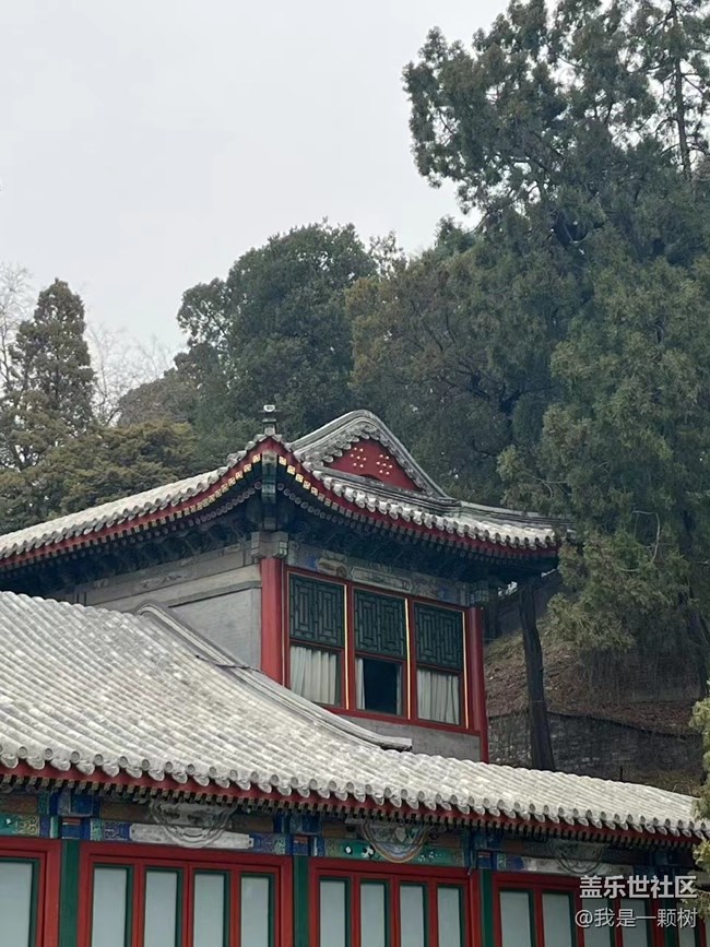 【当三星遇北海】我和春天在北海有个约会