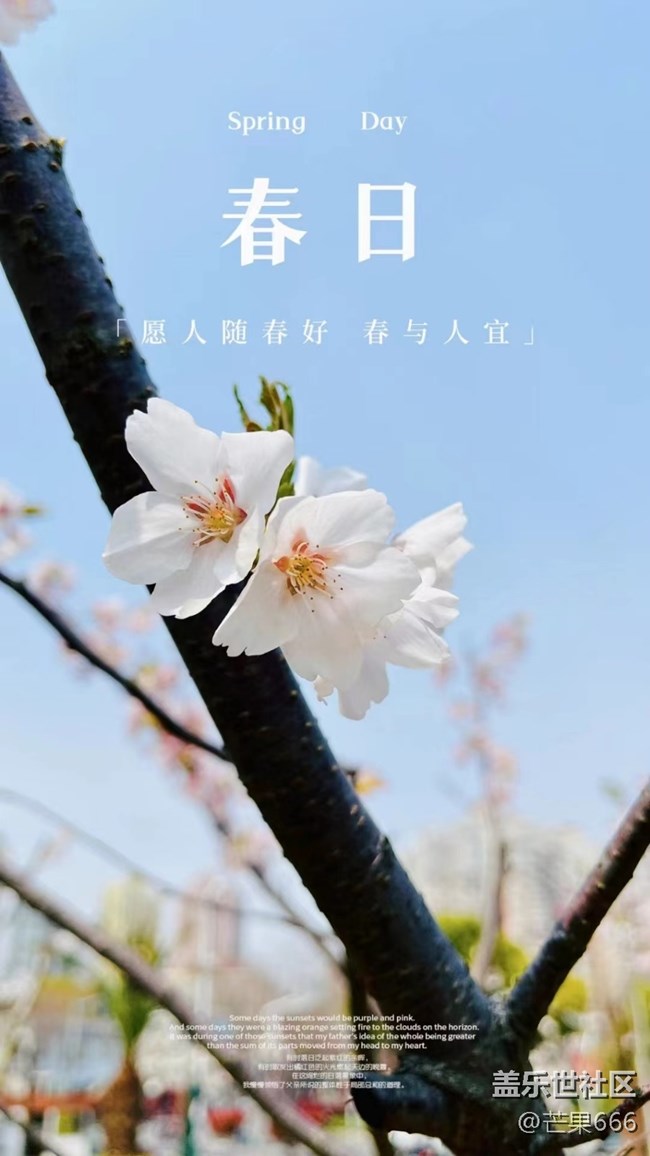 #初春时节——樱花绽放