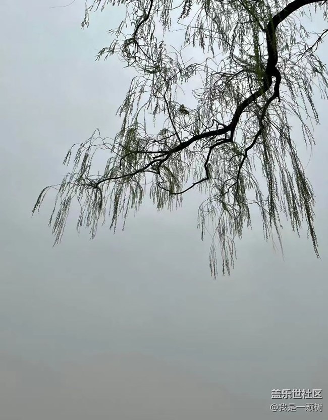 【当三星遇北海】我和春天在北海有个约会