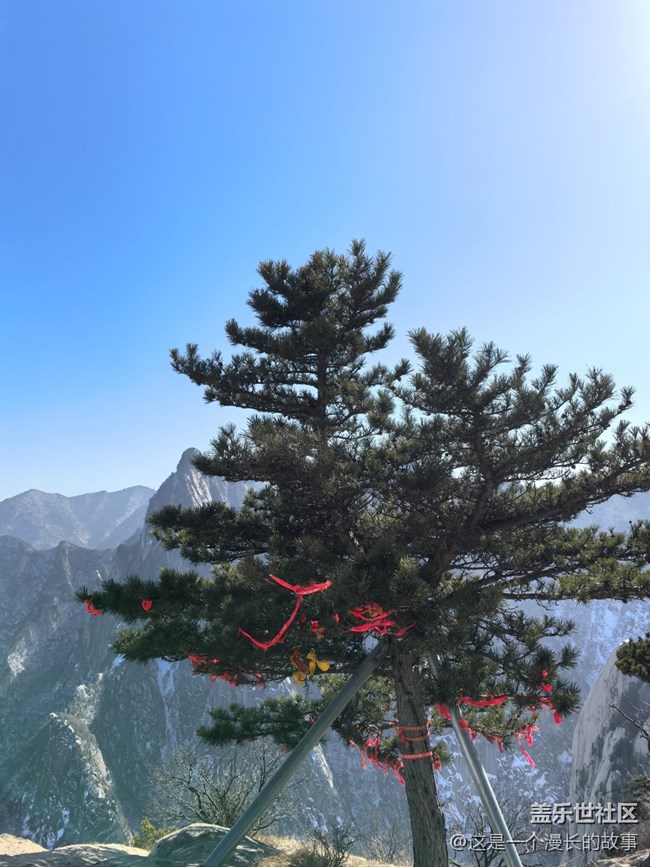 已开奖【旅行版四月第一周】难忘的旅行