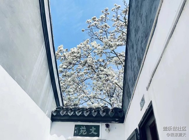 【春和景明】春日午后