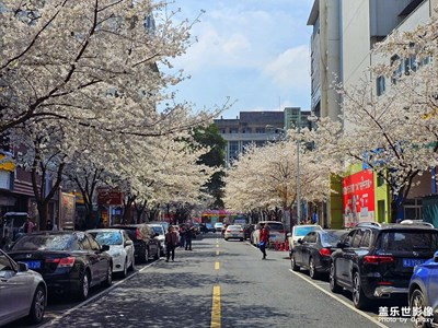 春日街景