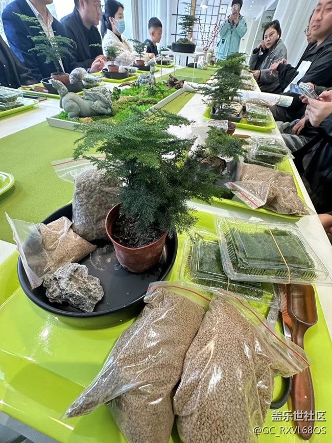 植此青绿，拥抱春天