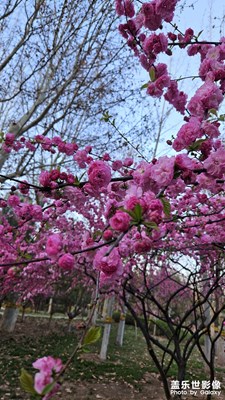 【醉春山】乍暖还寒