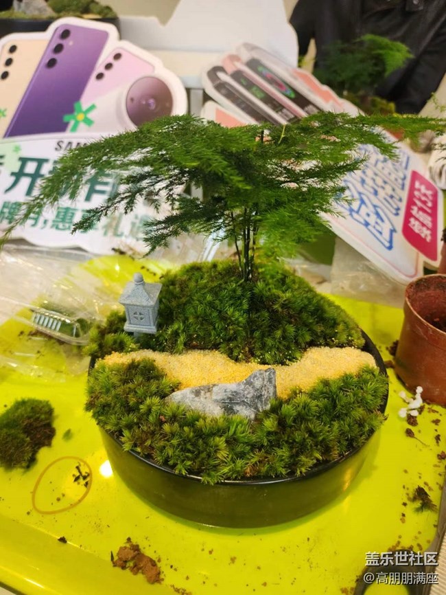 “植”此青绿——线下手工活动