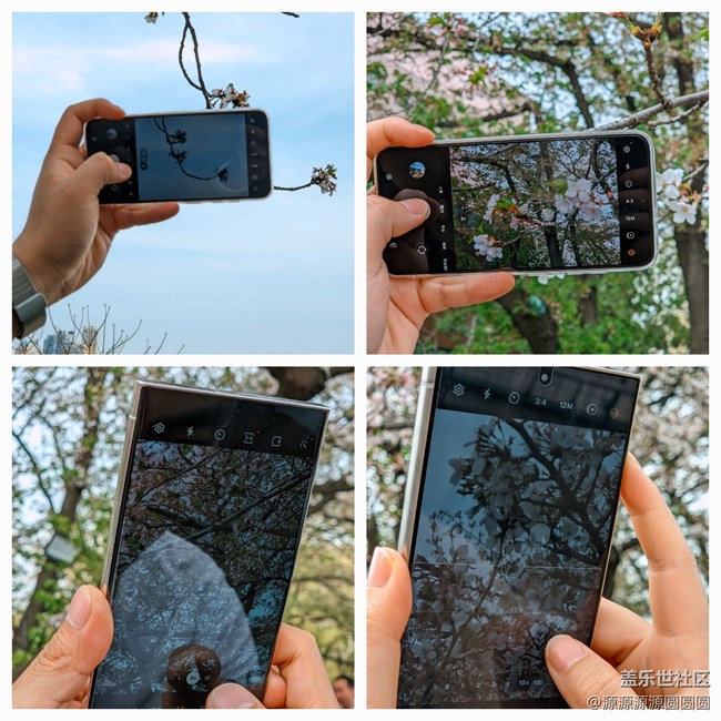 【武汉樱花】武汉星部落三月摄影活动总结帖