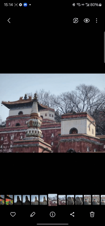 即圈即搜.gif