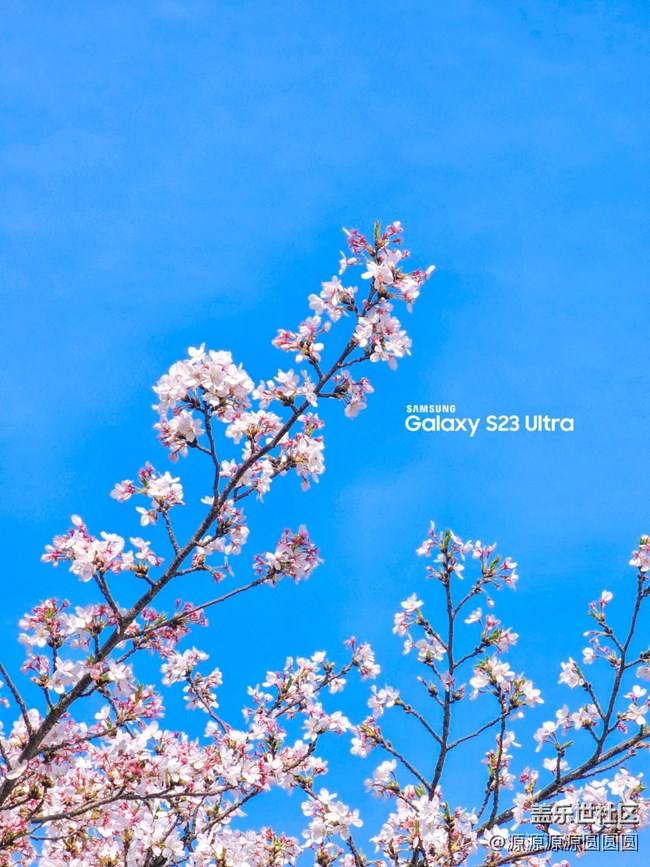 【武汉樱花】武汉星部落三月摄影活动总结帖