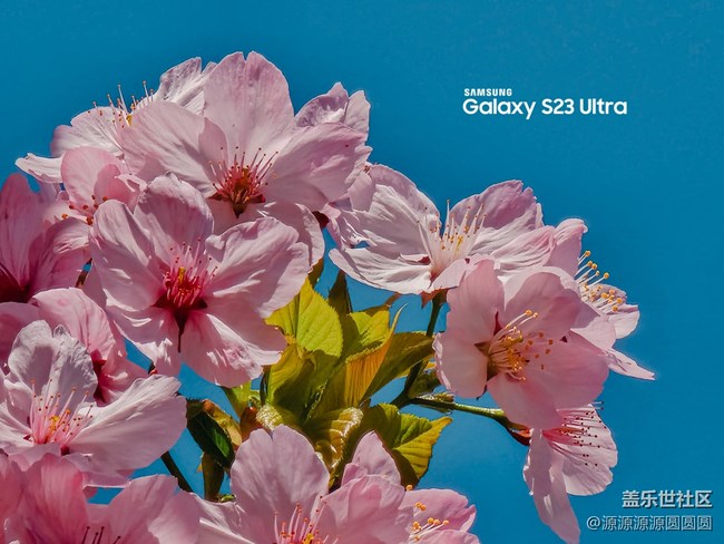 【武汉樱花】武汉星部落三月摄影活动总结帖