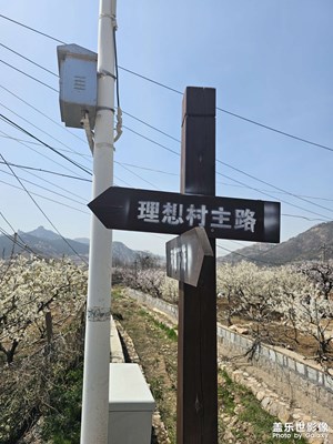 【用镜头丈量世界】走过的路，每一步都算数