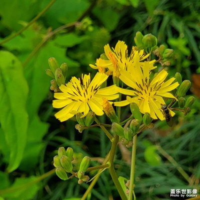 【用镜头丈量世界】+随处是风景
