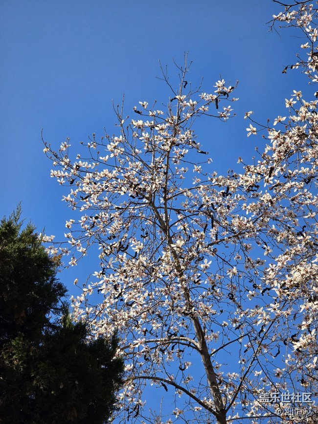青岛星部落3月拍摄活动回顾