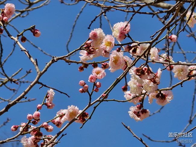 青岛星部落3月拍摄活动回顾