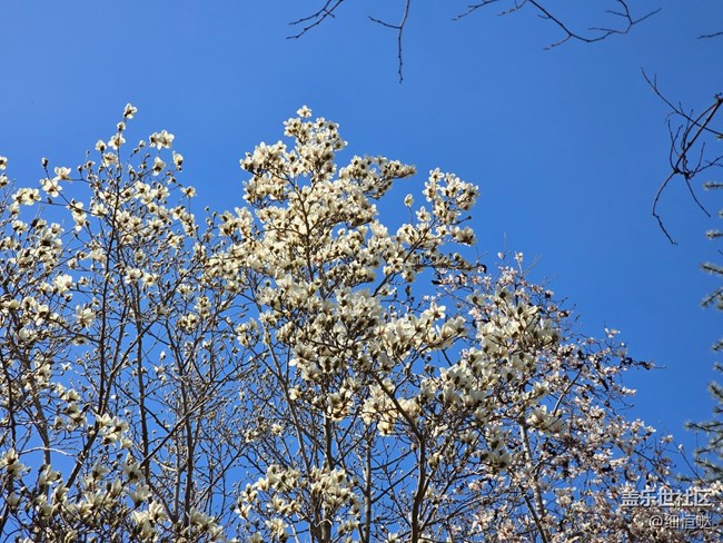 青岛星部落3月拍摄活动回顾