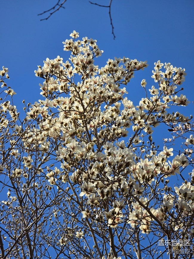 青岛星部落3月拍摄活动回顾
