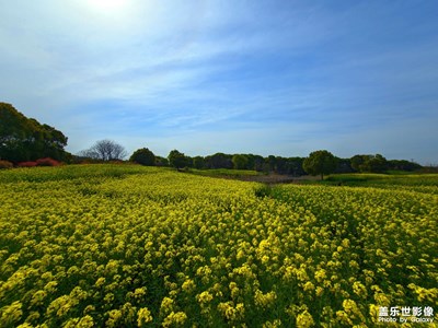 踏春，赏花，拍景