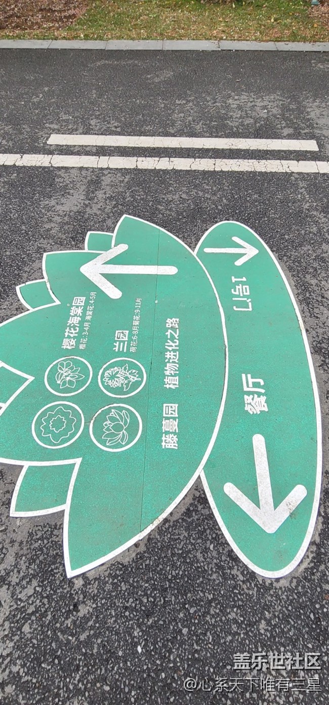 【三星AI与春天花儿】感受春天的气息
