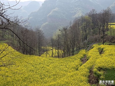 【追光塑影】山野风光