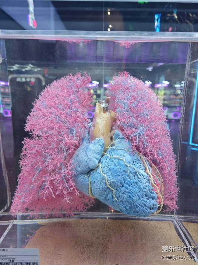 {探索生命奥秘}用三星记录生活
