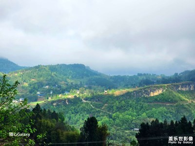 【醉春山】故乡的春天