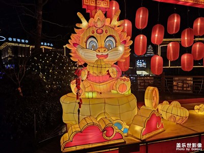 【追光塑影】+追光花灯