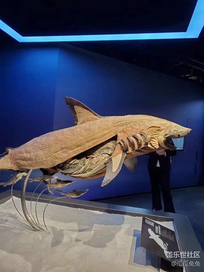 {探索生命奥秘}沉醉在知识的海洋里