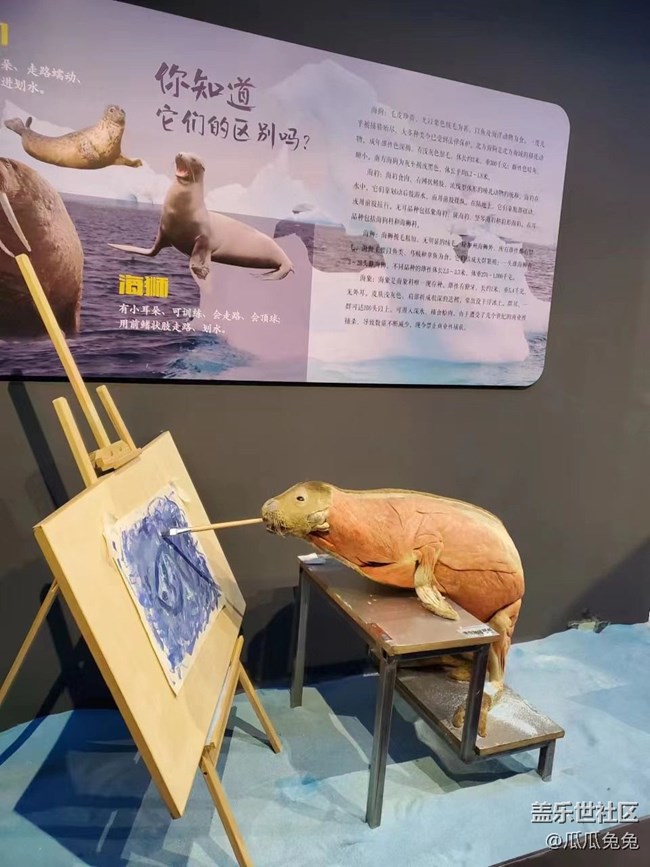 {探索生命奥秘}沉醉在知识的海洋里